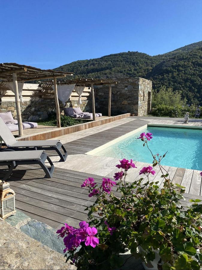 Chambres D'Hotes Et Studios De Charme - A Mandria Murato Exteriér fotografie